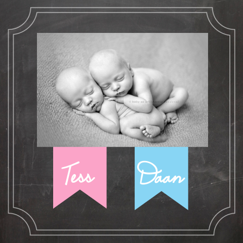 Lief geboortekaartje voor tweeling met foto