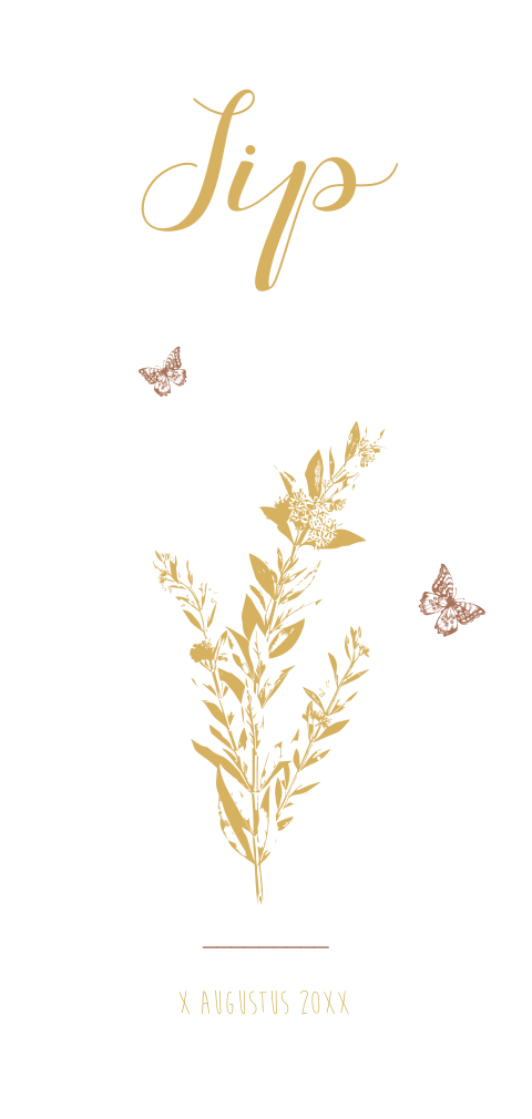Schattig geboortekaartje met illustratie takje en vlinders