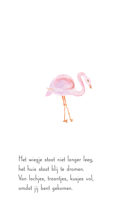 Geboortekaartje met flamingo